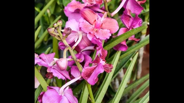 Nikon D5100 Photos смотреть онлайн