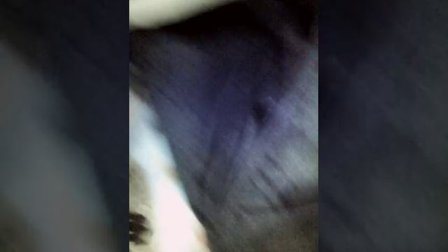 Не могу уложить Рому спать (щенка) смотреть онлайн