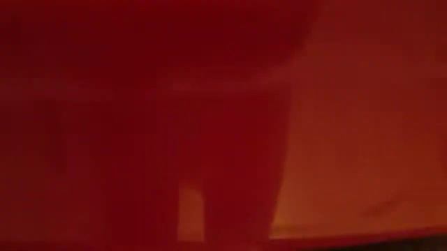 9 дней хомячкам смотреть онлайн