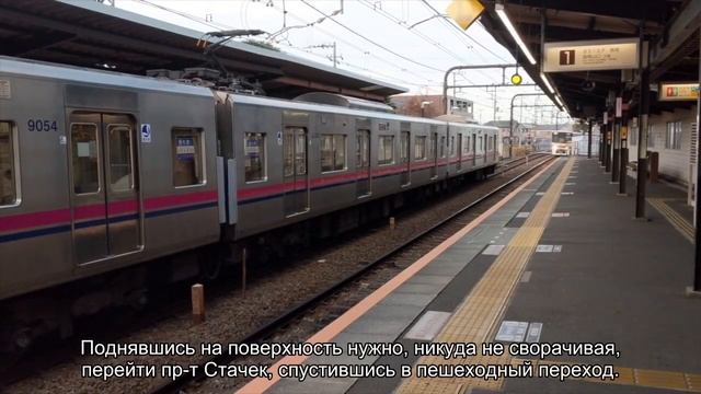 О маршрутках до Петергофа: как добраться, цены, откуда ходят и какие номера смотреть онлайн