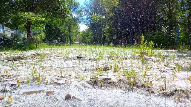 комментарии отключены смотреть онлайн