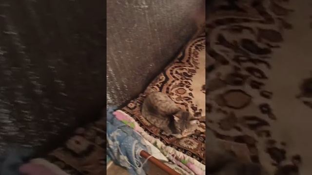 Дед в подвале из фольги