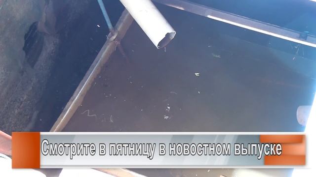 Сальский молзавод: очистка сточных вод смотреть онлайн