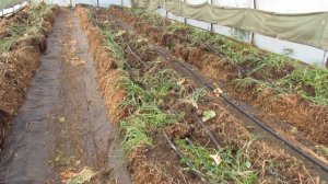 Совсем коротко о соломенных тюках на 2 оборот использования