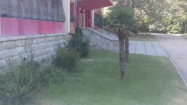 РЕСТОРАН ЖЕМЧУЖИНА И ЛАСТОЧКИНО ГНЕЗДО У МОРЯ ЯЛТА смотреть онлайн