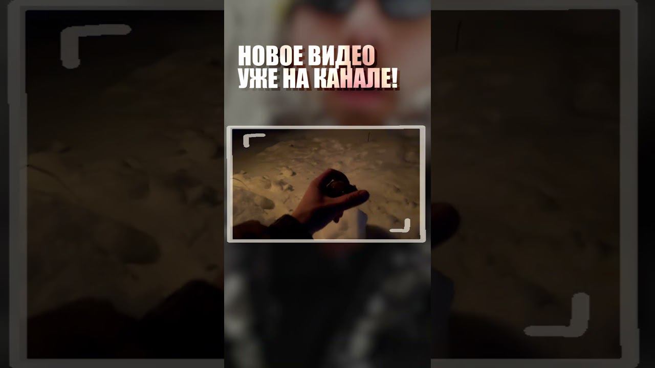 нашёл инопланетян в лесу #shorts