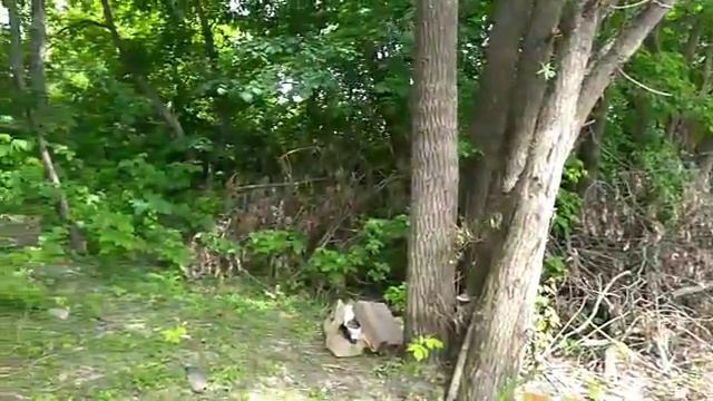 река Цна смотреть онлайн