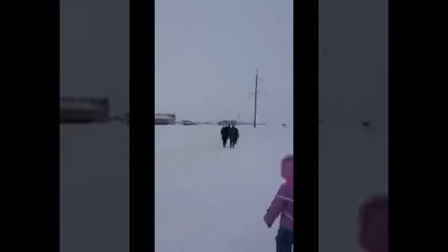 Малыши в садик идут с трассы пешком смотреть онлайн