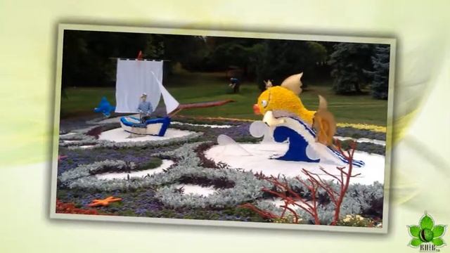 Цветы Киева смотреть онлайн