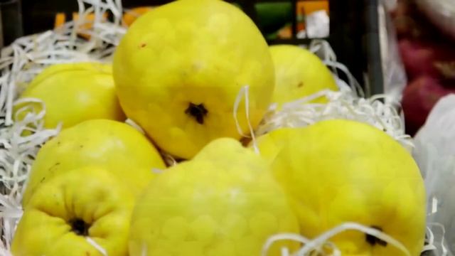 FOOD CITY the first Russian agricultural cluster - Wide range смотреть онлайн