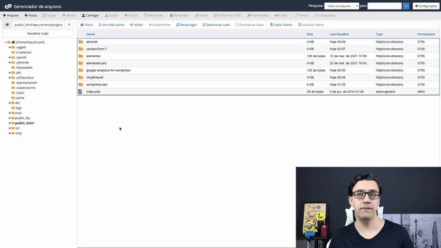 Como DESATIVAR PLUGIN no WordPress MANUALMENTE смотреть онлайн