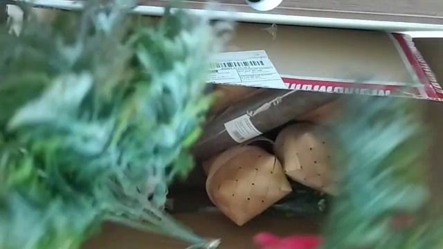 Мыловарение. Еще одна посылка от мыломании.