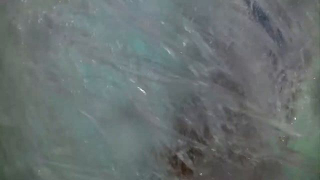 Египет, Шарм-Эль-Шейх, Гарденс Бей Continental Garden Reef Resort 5*, сентябрь 2014 смотреть онлайн