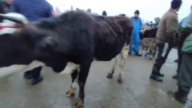 МЫНА СААН УЙ Баалары 13 февраль смотреть онлайн