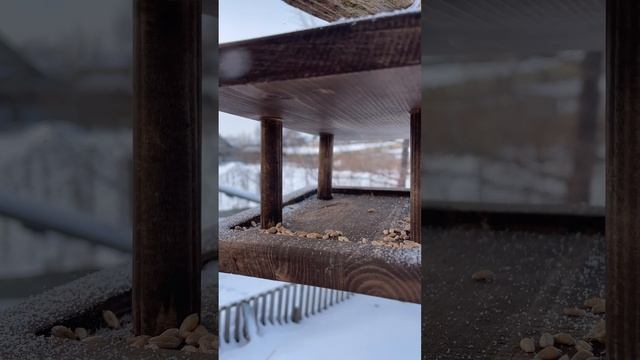 ?⬛ смотреть онлайн