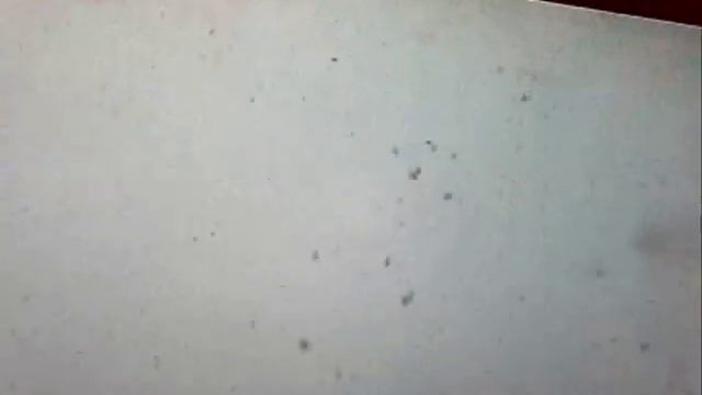 Сургут. Снег 15.05.11 .wmv