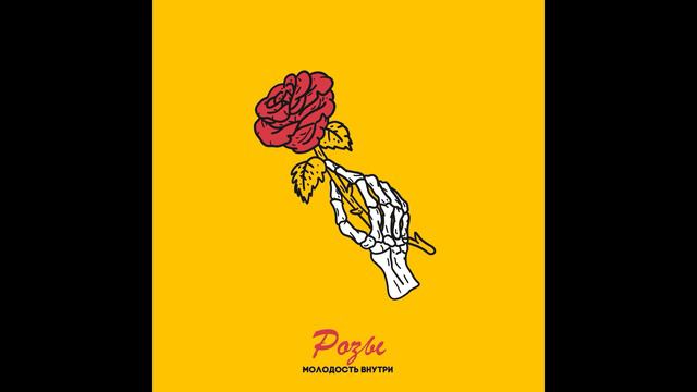 МОЛОДОСТЬ ВНУТРИ - Розы Official Audio