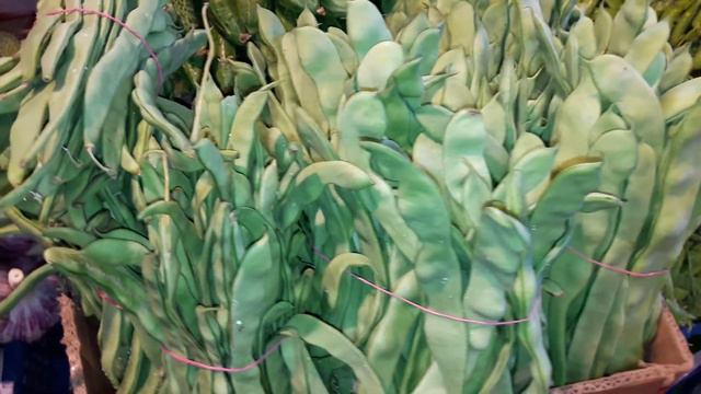 Фасоль смотреть онлайн