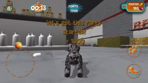 Basic vs Cute Cat - Cat Simulator 2015 Gameplay Contra Cat Sim