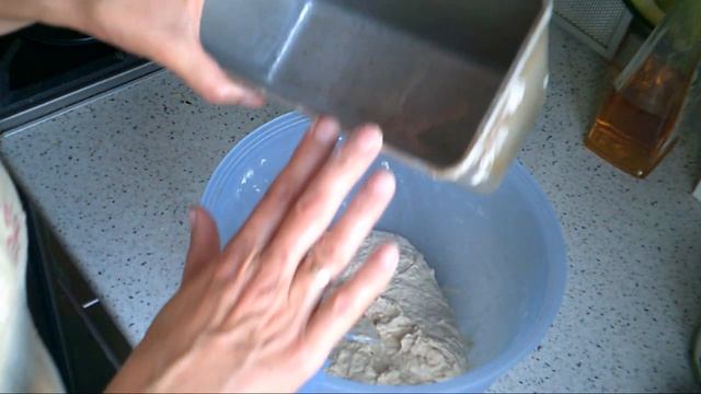 Цирковые Представления и Шоу