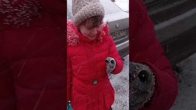 Не задавайте глупых вопросов