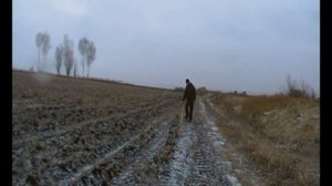 Стрельба пулями Баракуда 0.69 гр. с Хатсан страйкер эйдж  70 метров.