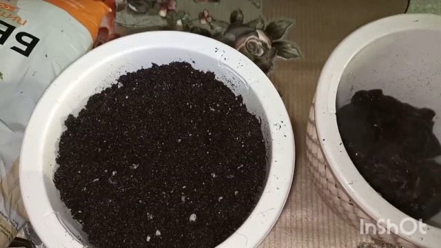 Наконец то пересадила подаренный цветок/жду отела,не знаю чем заняться? смотреть онлайн