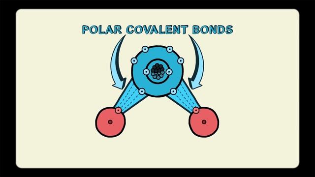 How polarity makes water behave strangely - Christina Kleinberg смотреть онлайн