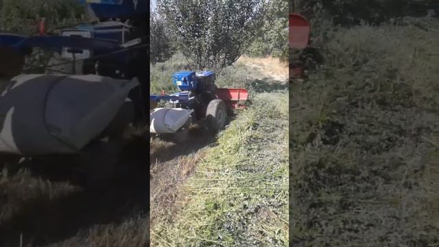 мотоблок беда ораш жарайони #video #motoblok #traktor смотреть онлайн