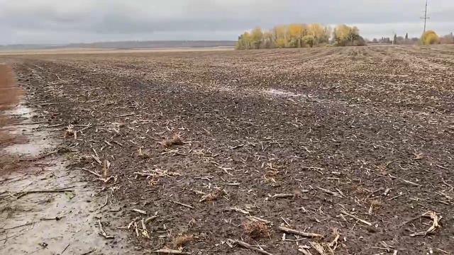 Результати врожайності Пегасу вже у відео! смотреть онлайн