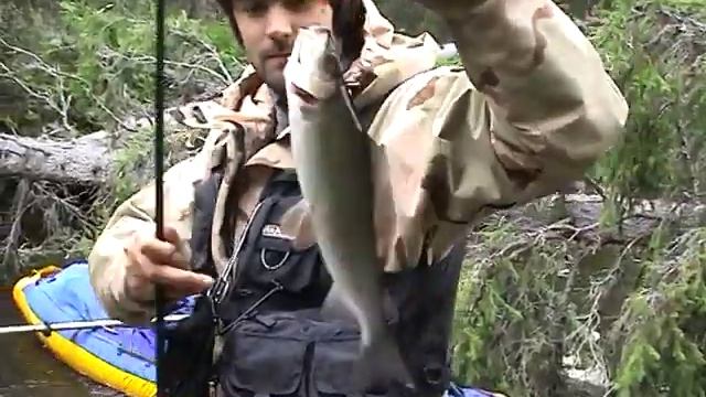 Архангельский хариус смотреть онлайн