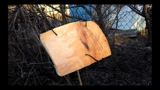 Видео свиного бока с ребрами для тестирования оружия