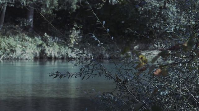 Canon XC10 - Test Footage смотреть онлайн