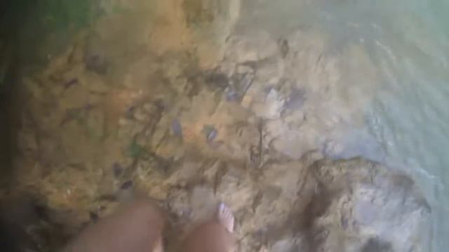 Доминикана своим ходом?  Водопад El Limon?  Полуостров Самана?