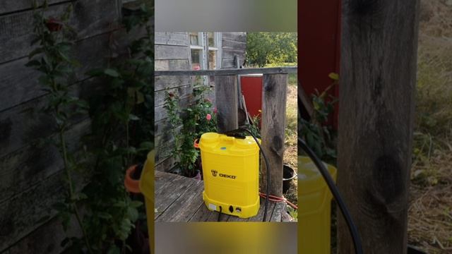 dacha смотреть онлайн