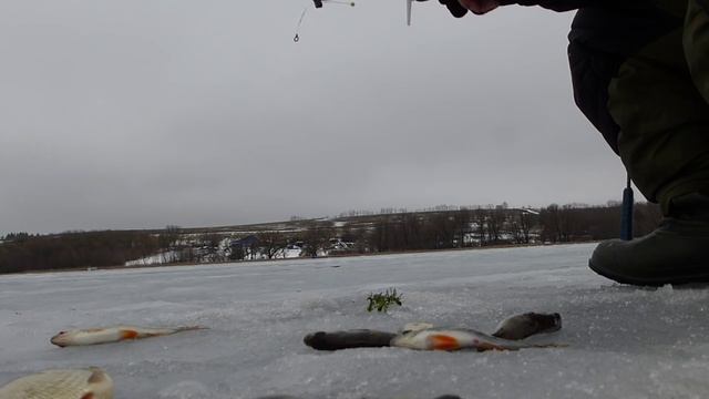 Зимняя рыбалка 2015. Самойловка Белгородская область 28.02.2015 смотреть онлайн