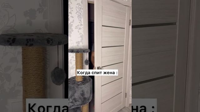 Как спят муж и жена