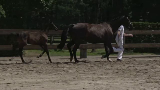 42 Cornet Obolensky X Indoctro (h) смотреть онлайн