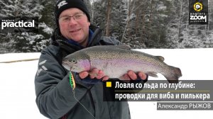 Ловля со льда по глубине: проводки для виба и пилькера. Александр Рыжов