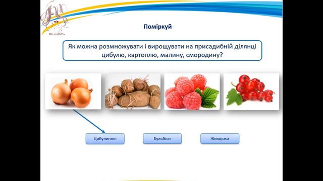Як виростити нову рослину без насіння. 3 клас смотреть онлайн