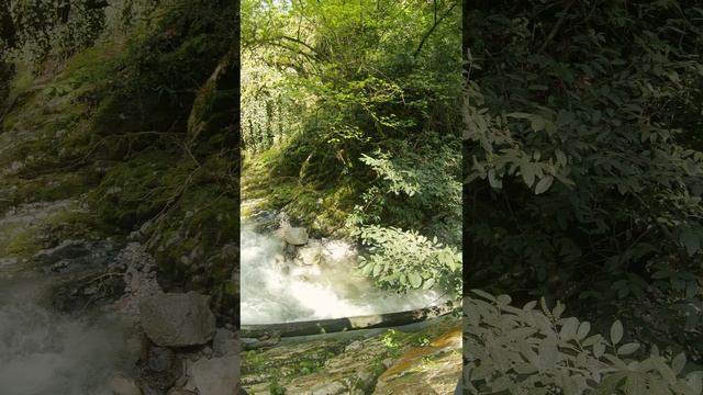 Царский каньон смотреть онлайн