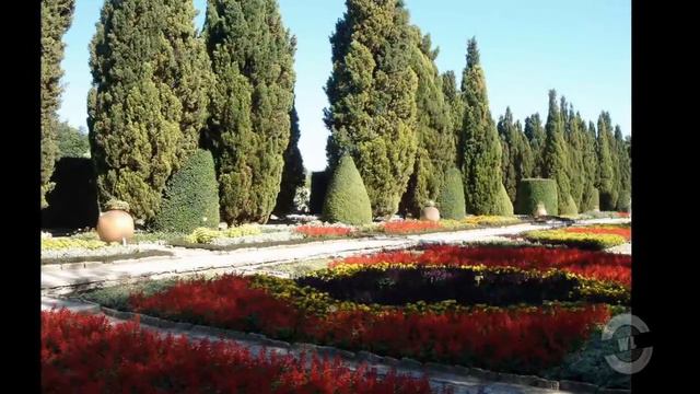 Ботанический сад. Болгария смотреть онлайн