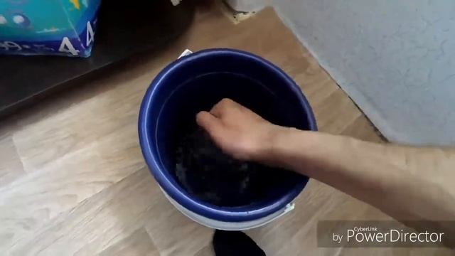 Обслуживание и работа аэрлифтного фильтра для аквариума смотреть онлайн