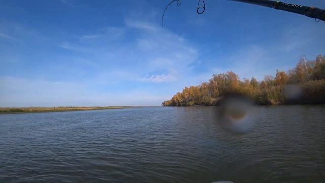 Крутиха, Алеус места вроде разные,а рыба одна и та же. смотреть онлайн