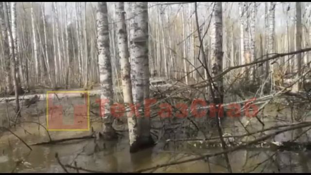 ГАЗ-73 (ГТ-СМ) смотреть онлайн