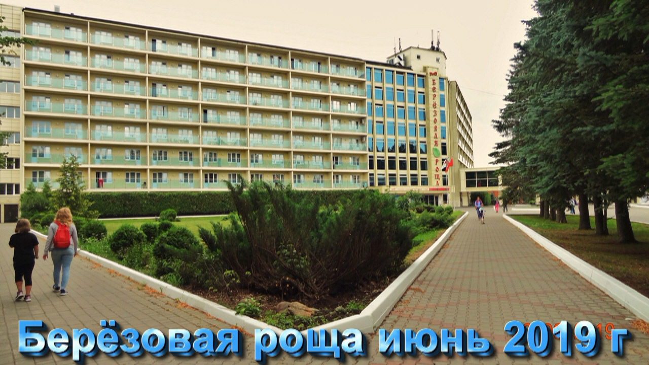 Берёзовая роща июнь 2019 г.mp4 смотреть онлайн