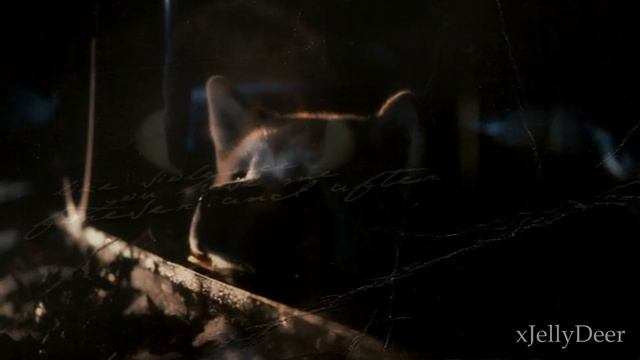 Hachiko ~ Goodbye {sad video} смотреть онлайн