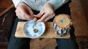 Колка маньчжурского ореха. How to remove a kernel of a Juglans mandshurica.