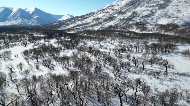 Камчатка, c. Паратунка, б/о "Надежда" и Парк Отель "Kamchatka Magic Wood", февраль 2023 г. смотреть онлайн