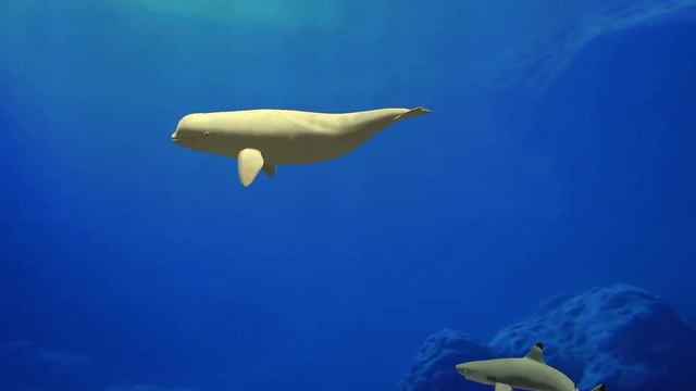 Fish Farm 3 Ocean Aquarium Deep Sea Medley (with music) смотреть онлайн